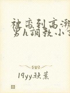 被脔到高潮的直男h调教小说