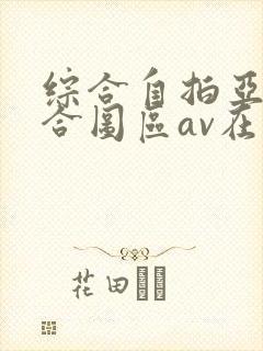 综合自拍亚洲综合图区av在线