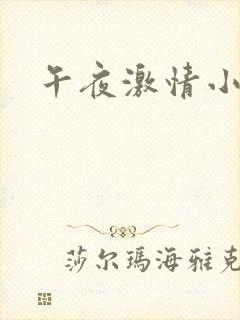 午夜激情小黄片