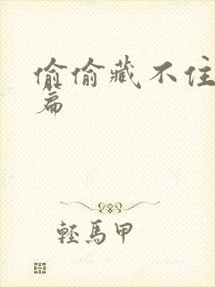 偷偷藏不住番外篇