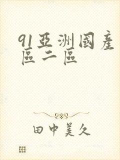 91亚洲国产一区二区