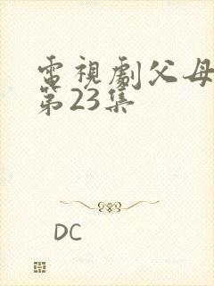 电视剧父母爱情第23集