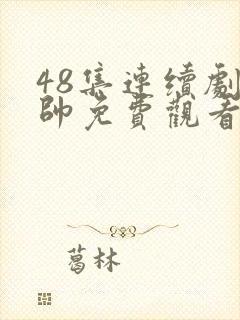 48集连续剧少帅免费观看封面