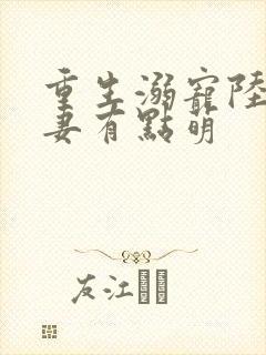 重生溺宠陆少甜妻有点萌封面