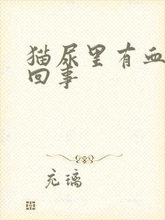 猫尿里有血怎么回事封面