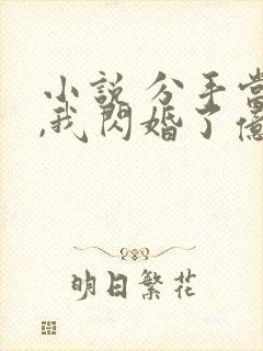 小说 分手当天,我闪婚了亿万富豪