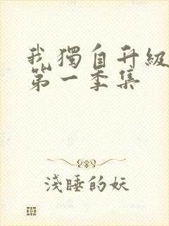 我独自升级动漫第一季集