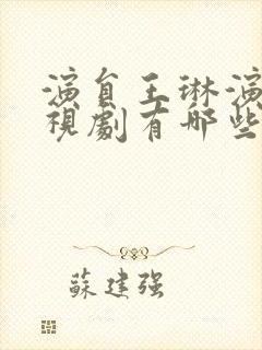 演员王琳演的电视剧有哪些