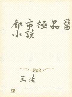 都市极品医王 小说封面