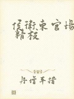 侯卫东官场笔记 精校