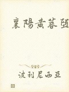 襄阳黄蓉堕落史封面