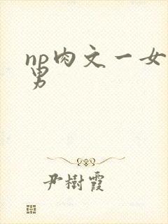 np肉文一女多男封面