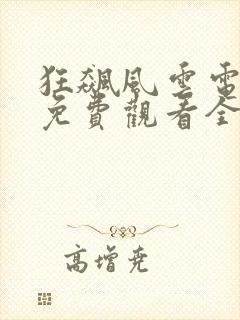 狂飙风云电视剧免费观看全集