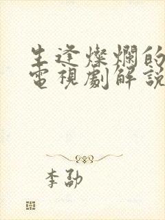 生逢灿烂的日子电视剧解说