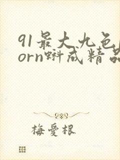 91最大九色porn蚪成精品