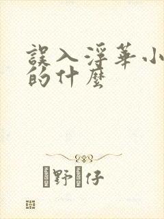 误入浮华小说讲的什么