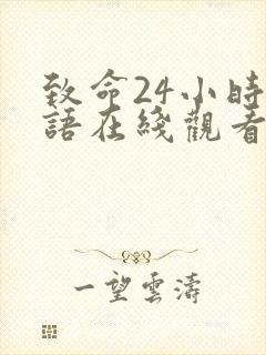 致命24小时国语在线观看高清