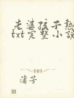 老婆孩子热炕头txt完整小说