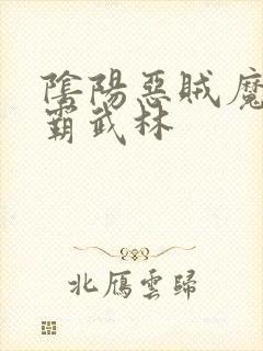 阴阳恶贼魔功称霸武林封面