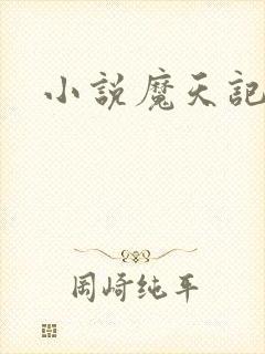 小说魔天记下载封面