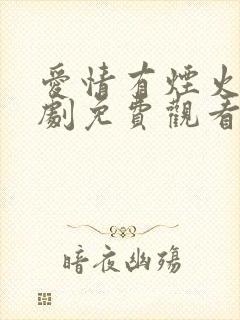 爱情有烟火电视剧免费观看全集高清版封面