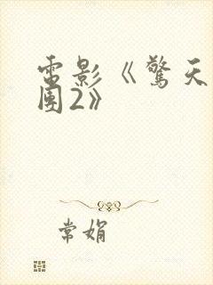 电影《惊天魔盗团2》