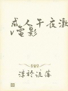 成人午夜激情av电影