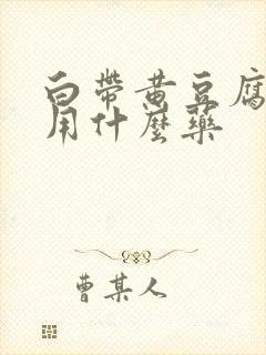 白带黄豆腐渣状用什么药