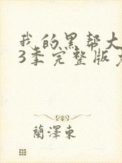 我的黑帮大佬第3季完整版免费观看高清