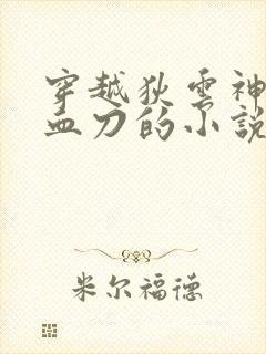 穿越狄云神照经血刀的小说封面