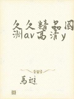 久久精品国产亚洲av高清y