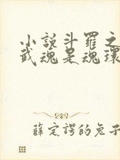 小说斗罗之我的武魂是魂环免费阅读