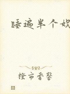 睡遍半个娱乐圈封面