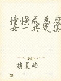 憧憬成为魔法少女一共几集