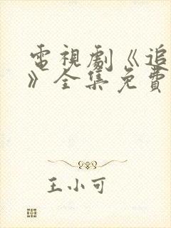 电视剧《追击者》全集免费播放