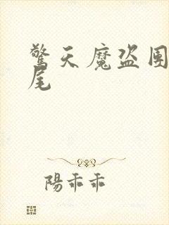 惊天魔盗团2结尾