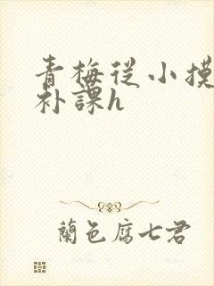 青梅从小摸到大补课h