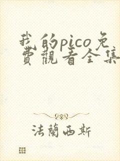 我的pico免费观看全集