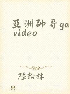 亚洲帅哥gay video