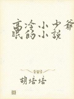 高冷小少爷被催眠的小说封面