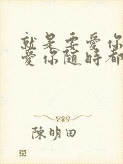 就是要爱你爱你爱你随时都要一起封面