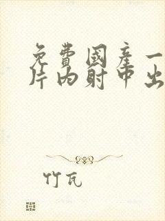 免费国产一级一片内射中出