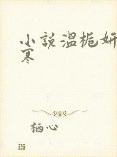 小说温栀妍沈霁寒