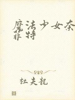 魔法少女奈叶 菲特封面