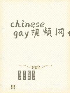 chinese gay视频网站在线观看