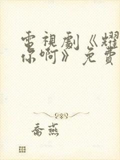 电视剧《耀眼的你啊》免费观看