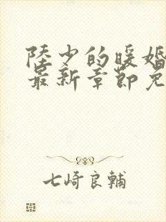 陆少的暖婚新妻最新章节免费阅读