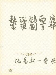 敖瑞鹏白鹿演的电视剧有哪些