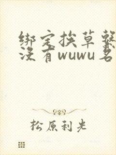 绑定挨草系统后没有wuwu名字封面