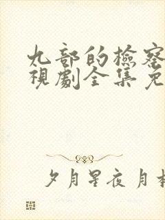 九部的检察官电视剧全集免费